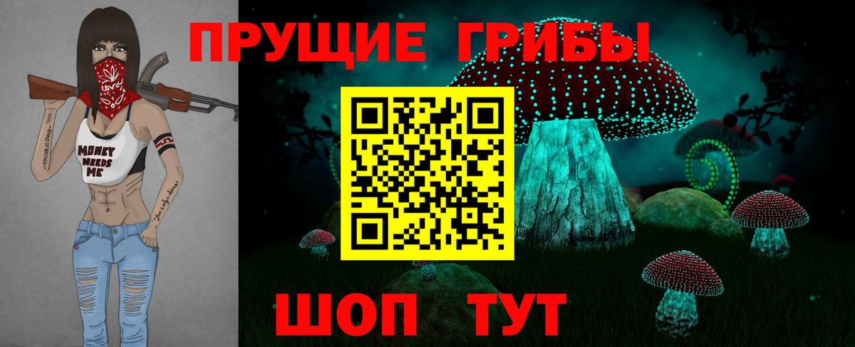 Галлюциногенные грибы мицелий  Галлюциногенные грибы мицелий  Знаменск  купить закладку  Вход с VPN 